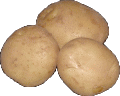 馬鈴薯
